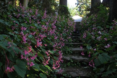 ⛰️ 이와와키산 이와와키데라 (湧出山 岩湧寺) 이미지 2